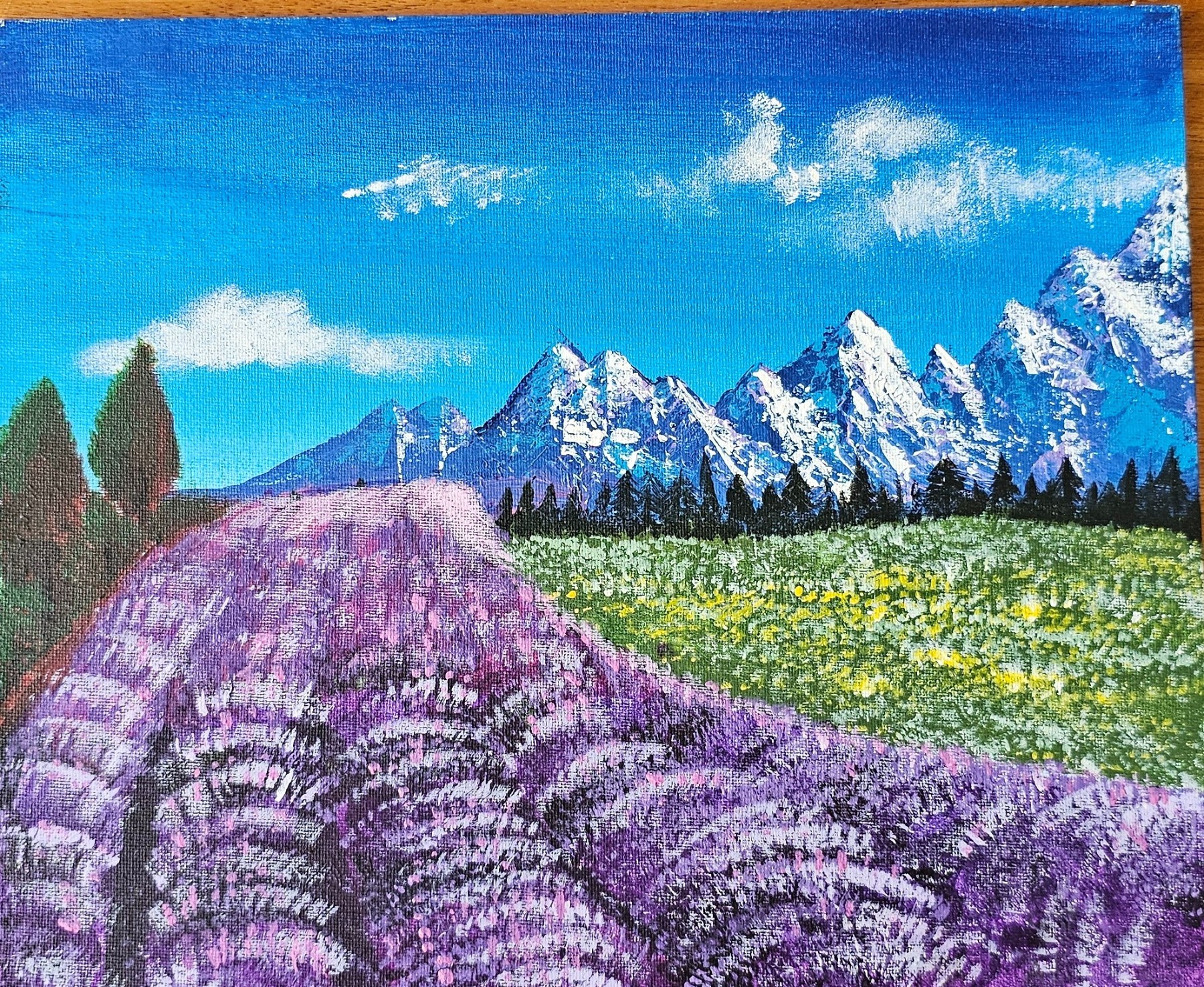 Lavender Fields
